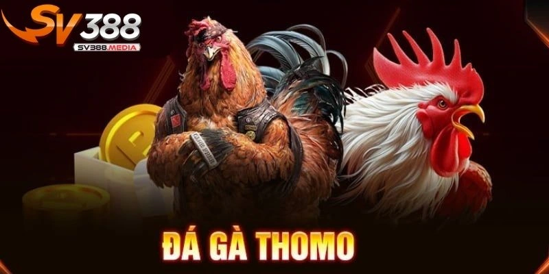 cách chọn gà chiến