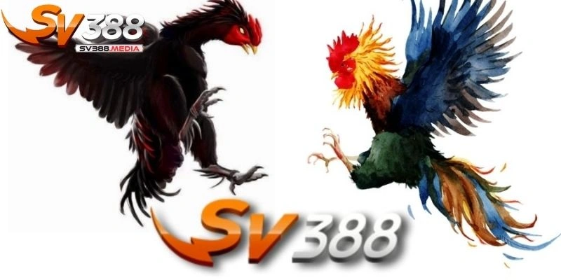 giới thiệu SV388