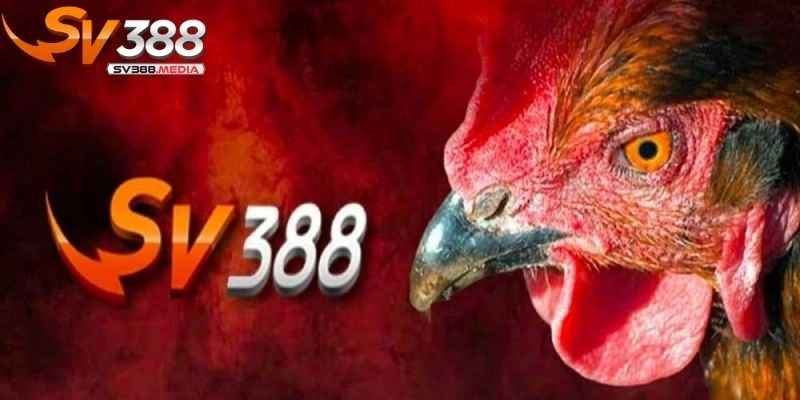 sv388