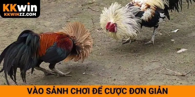 Vào sảnh chơi để cược đơn giản